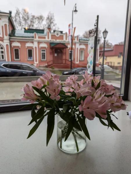 MakBush и Nordic Coffee Roasters: кофейная гордость региона