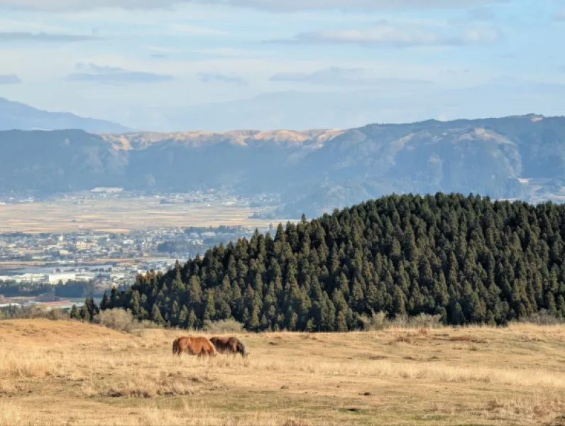Утренний перекус в японском конбини и живописная дорога