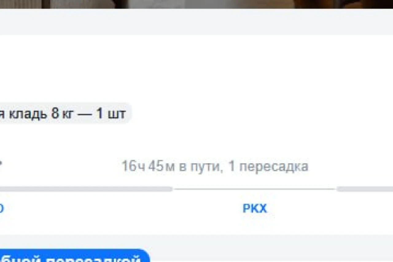 Дешевые авиабилеты в Японию: Москва-Токио за 23 318 ₽