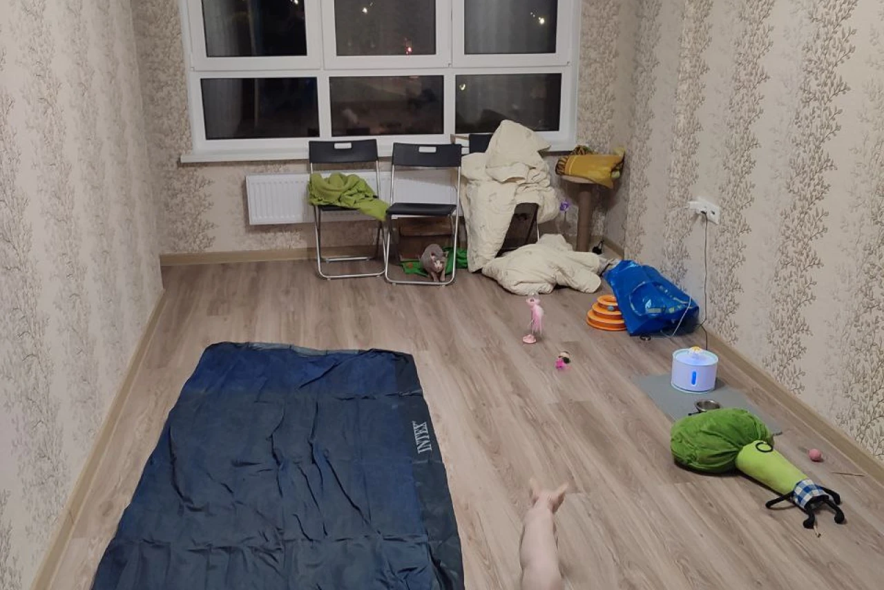 Из 5 звезд в однушку: переезд, быт, новая реальность