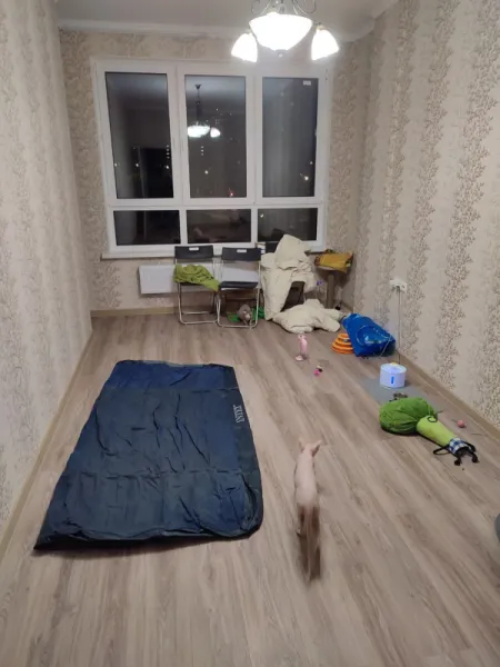 Из 5 звезд в однушку: переезд, быт, новая реальность