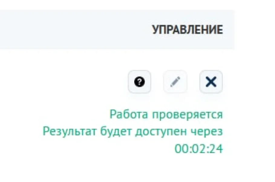 Привет РЭУ: почему проверка на антиплагиат занимает ровно 30 минут?