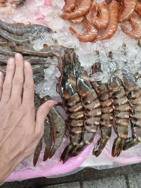 Рыбный рынок Jagalchi: гигантские креветки и морепродукты
