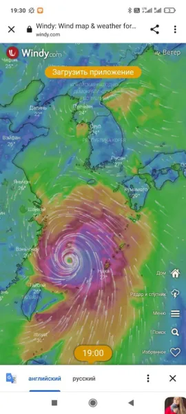 Ураган на карте: Windy.com показывает стихию