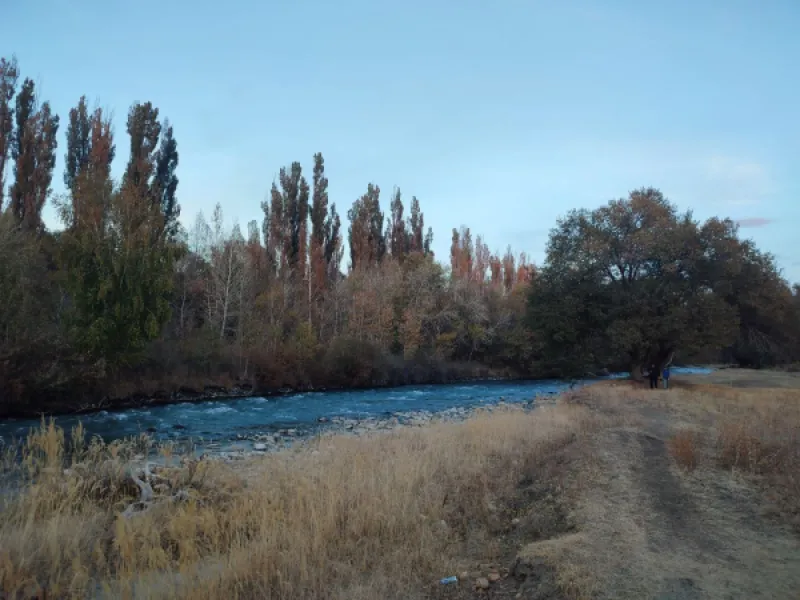 Пейзажи окрестностей: природа, река, деревья