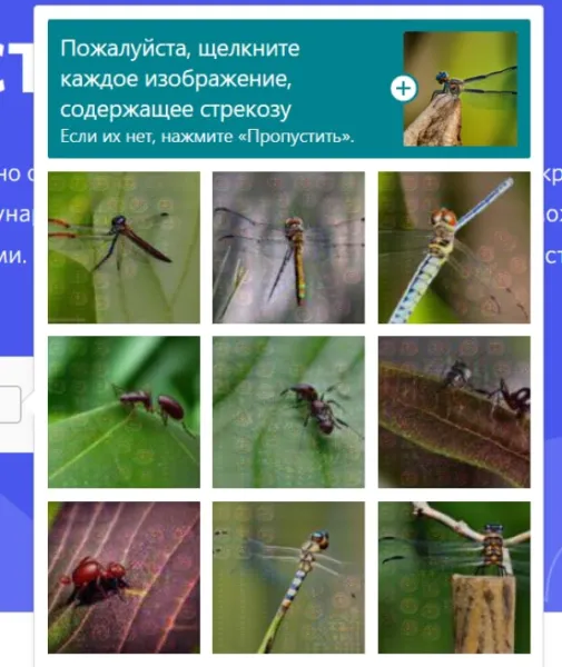 Насекомые: удивительный мир вокруг нас