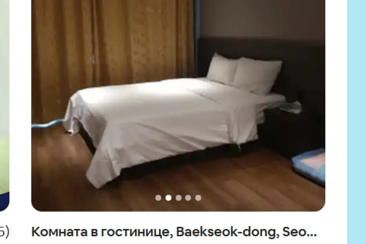 За месяц в южнокорейской гостинице за $74: готов лаять и выполнять другие команды