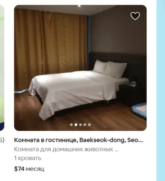 За месяц в южнокорейской гостинице за $74: готов лаять и выполнять другие команды
