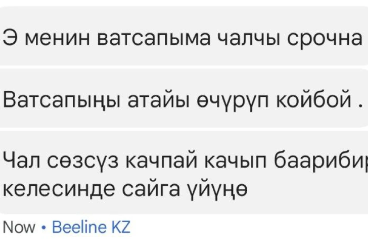 WhatsApp заблокировали? Как обойти блокировку