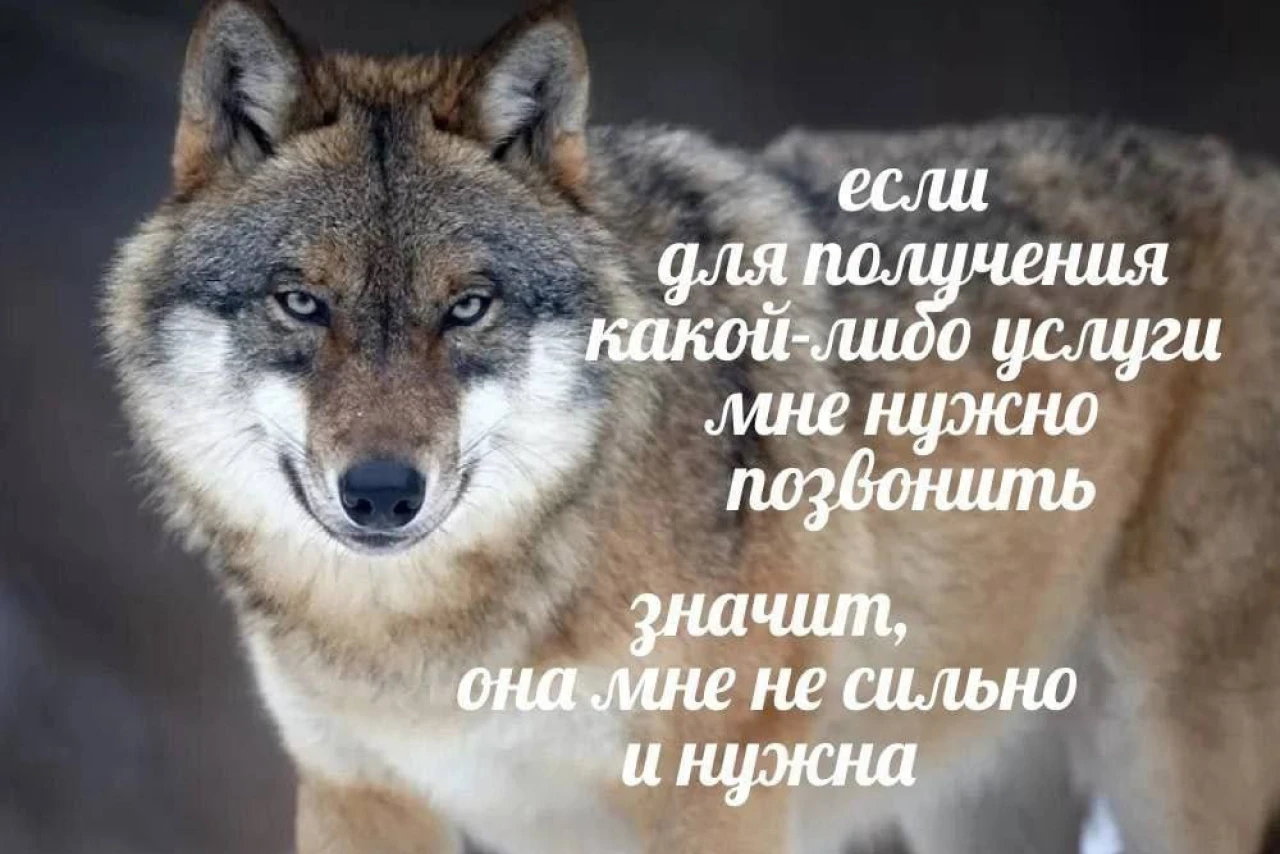 Если для получения какой-либо услуги мне нужно позвонить, значит, она мне не сильно и нужна