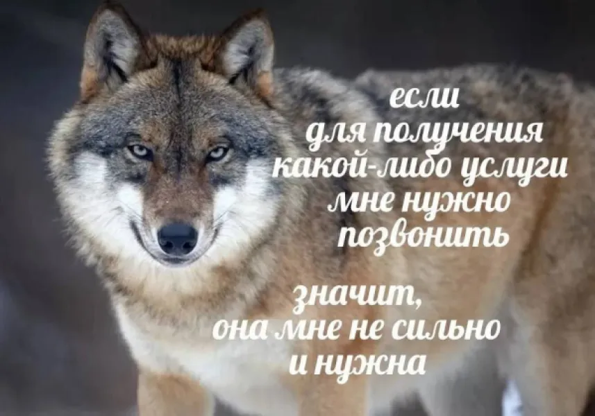 Если для получения какой-либо услуги мне нужно позвонить, значит, она мне не сильно и нужна