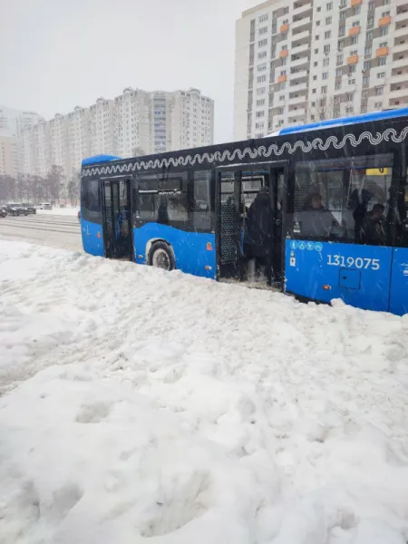 Безбарьерная среда в России: как снег помог транспорту