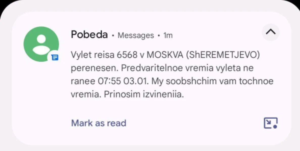 Когда рейс из Челябинска в Москву перенесли, а ты кот, который очень хочет уехать
