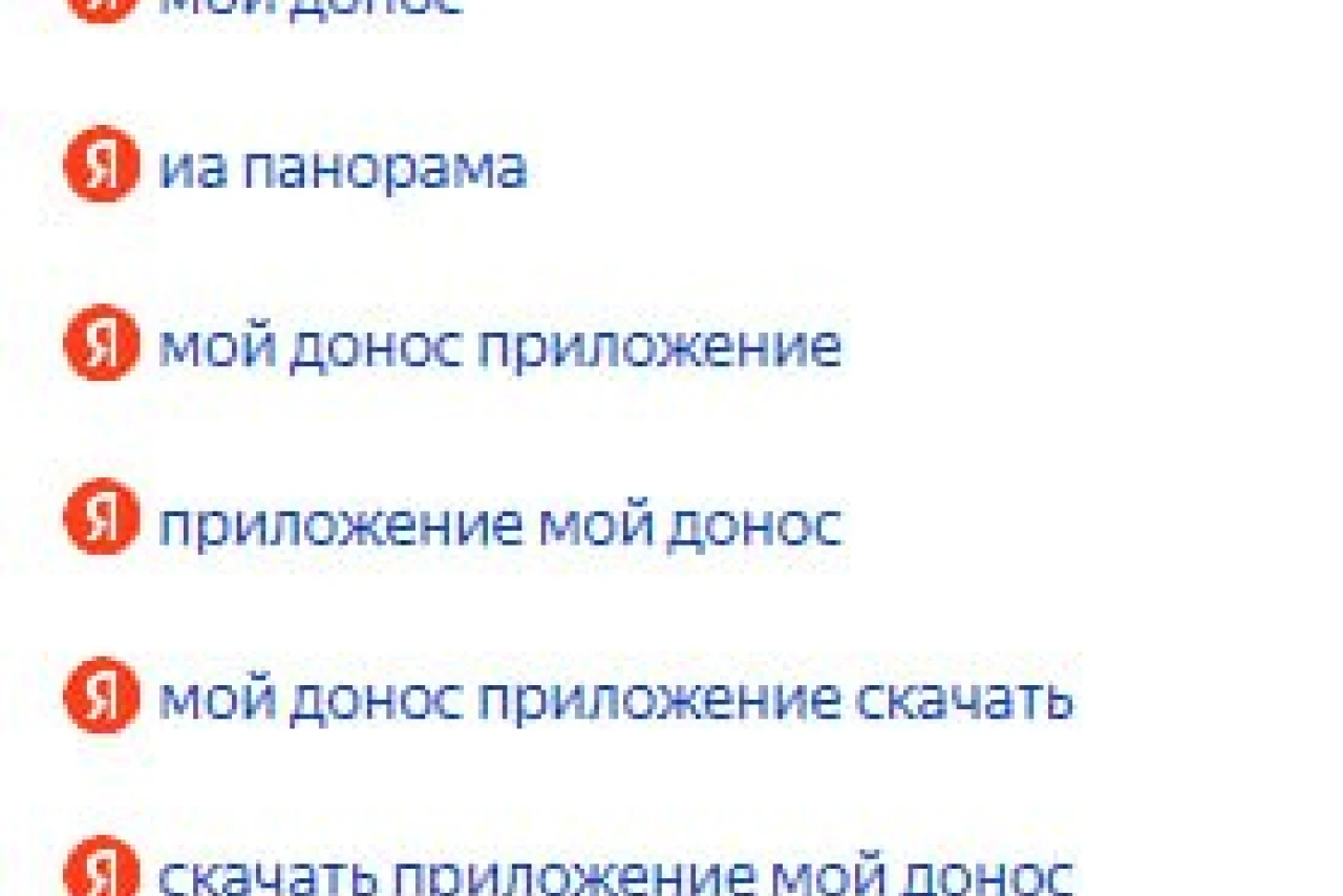 Приложение «Мой донос»: от абсурда до реальности в поисковых запросах