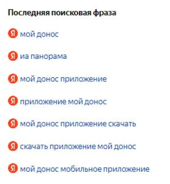 Приложение «Мой донос»: от абсурда до реальности в поисковых запросах