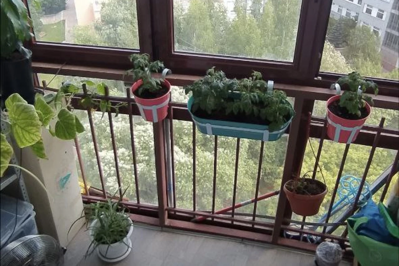 Гугл напомнил о "особенном" дне: уборка балкона как повод для иронии