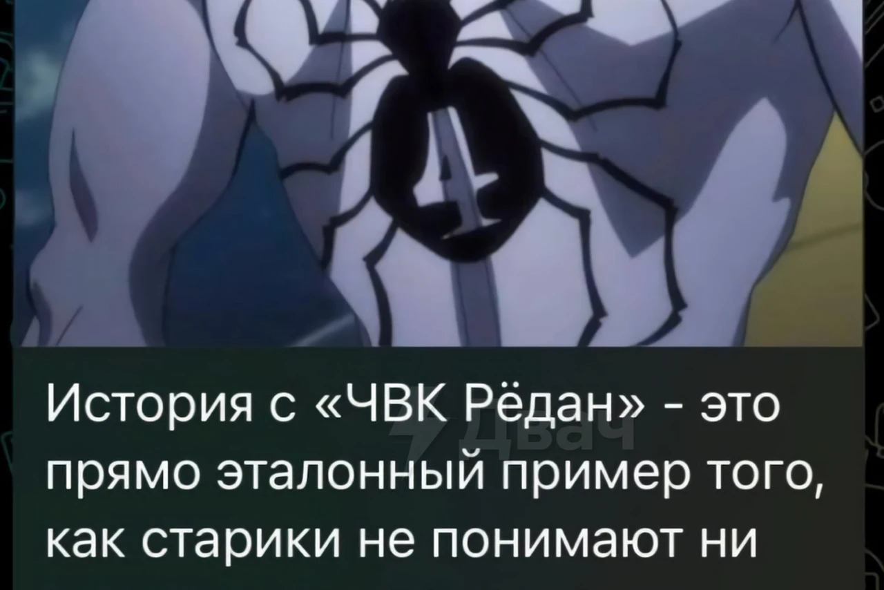 «ЧВК Рёдан»: как взрослые не поняли молодежь и интернет