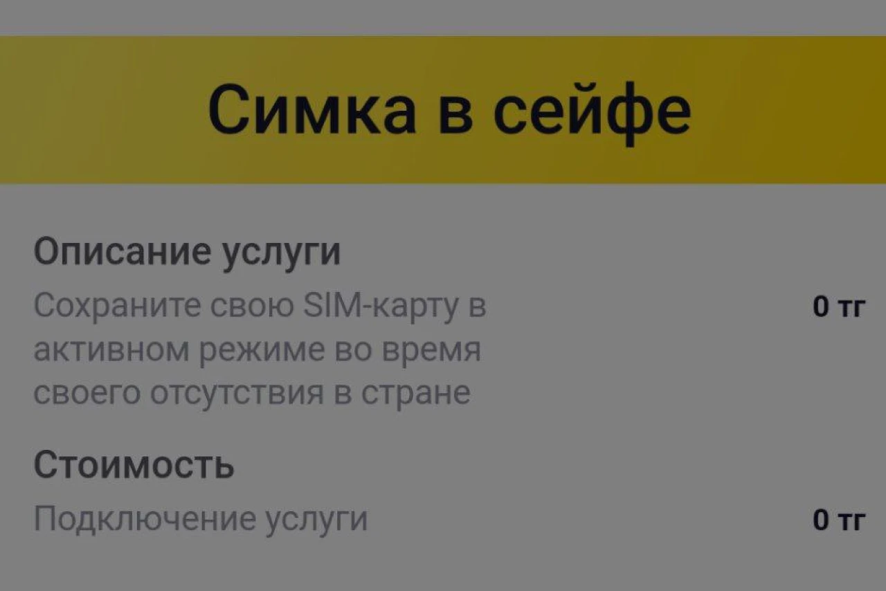Как сохранить сим-карту Билайн Казахстан, если вы уехали: инструкция и стоимость