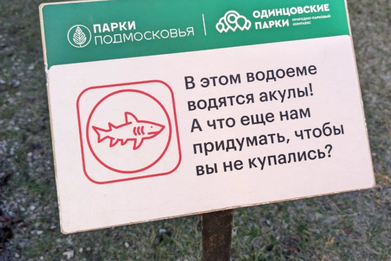 В этом водоеме водятся акулы! А что еще нам придумать, чтобы вы не купались?