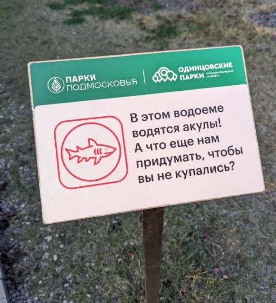 В этом водоеме водятся акулы! А что еще нам придумать, чтобы вы не купались?