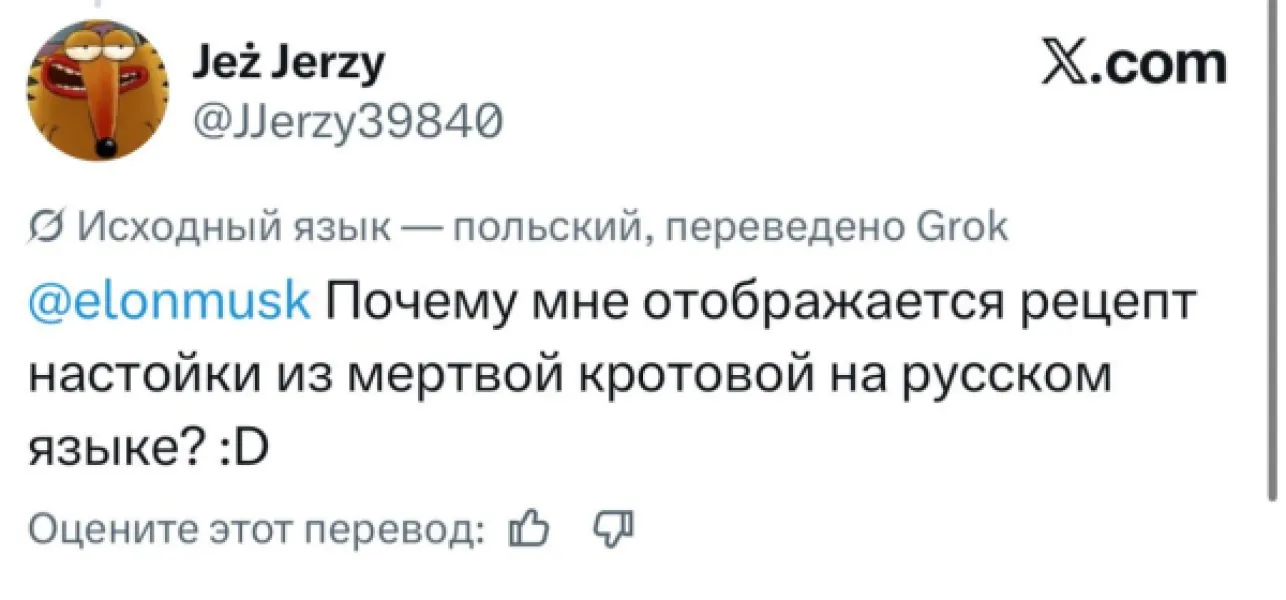 Как автоперевод в Twitter (X) объединил мир и разрушил языковые барьеры