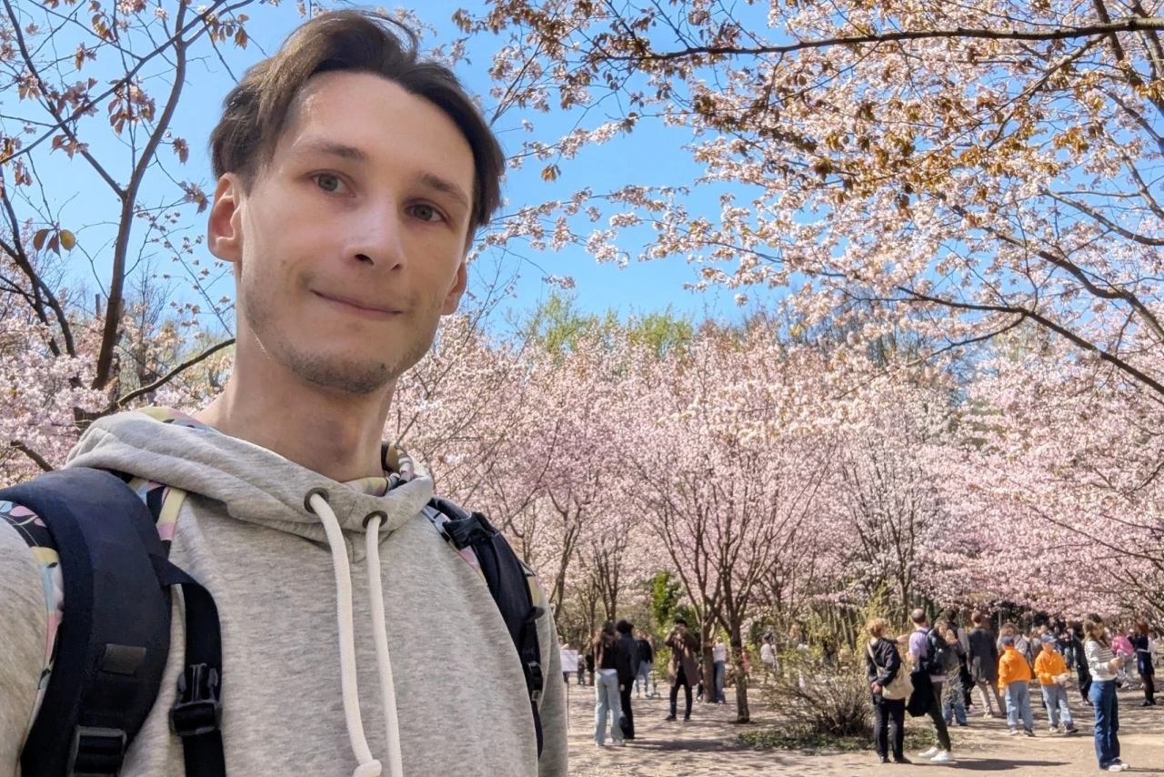 Сакура в Бирюлевском дендропарке: где посмотреть цветение в Москве сейчас